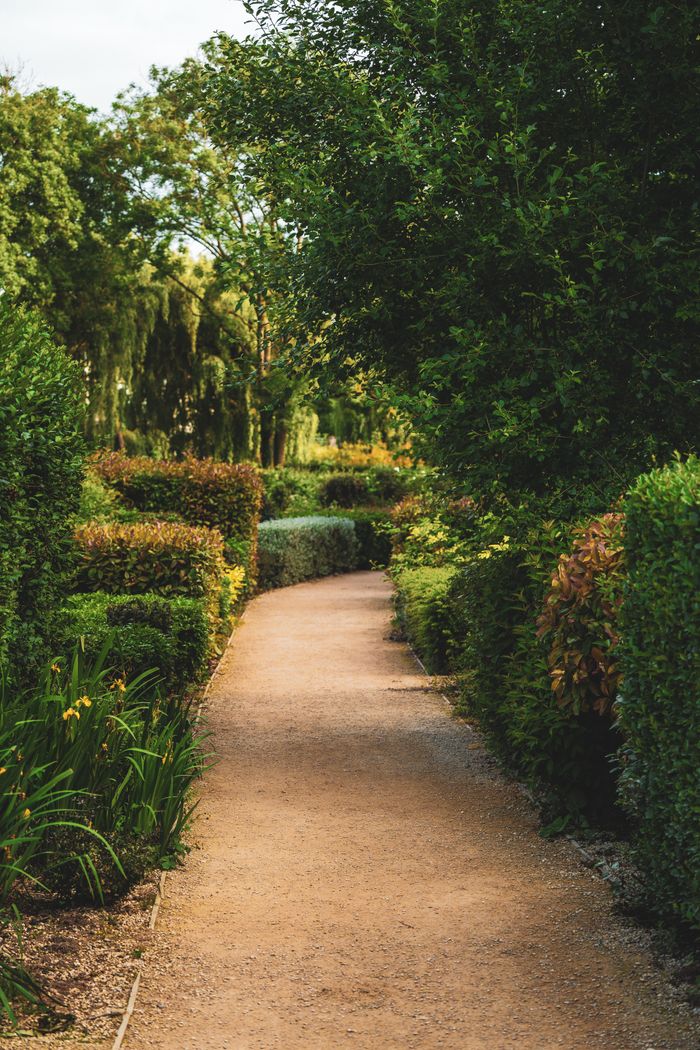 A peaceful garden path surrounded by vibrant hedges and greenery, perfect for nature walks.